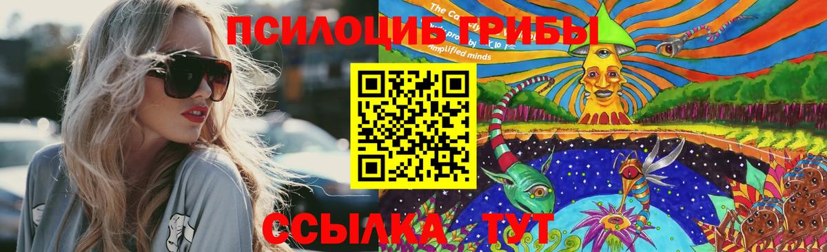 Новошахтинск  Галлюциногенные грибы ЛСД  Псилоцибиновые грибы Psilocybine cubensis  Вход с VPN 